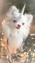 ChimiChihuahua