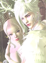 LightxAoshimori