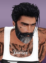 lvljavierlvl