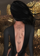 Tara