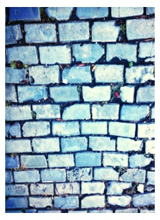 Guest_XxHaterLillyxX