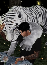 Guest_xRowan