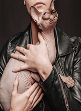 immagine avatar