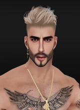 avatar bilde