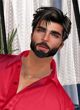 NIPPURdeLAGASH