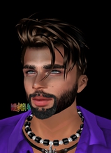 NIPPURdeLAGASH