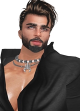 NIPPURdeLAGASH
