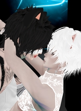 immagine avatar