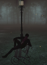Guest_orangeonly