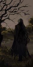 Mortia
