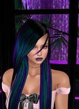 WynterSky