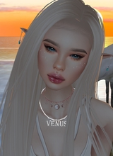 VenusStar