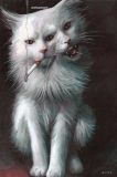 lxLoonaxl