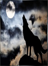 KozzWolf
