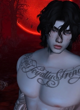 Guest_Adsxz