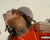 Guest_Yahuah