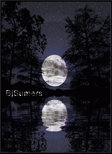 Canvas: bjsumers