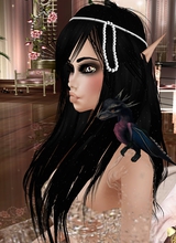 Canvas: kindleluv
