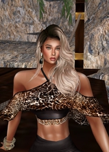 Gabycilla