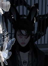 Arexieru