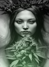 XxGHOSTINxX