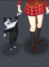 D0LLA