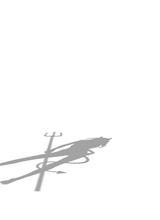 iP0IS0N