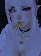 FallenCherryBlossom