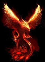 Phenix59