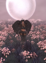 laluskarust