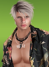 LeandroSurfer
