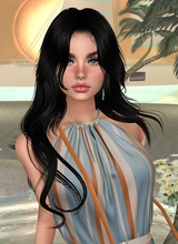 Guest_Nikolaseek