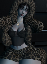 KaiSheele