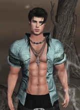 ElvisStarGreen