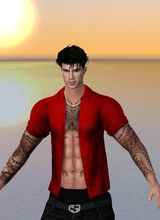 ElvisStarGreen
