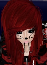 snowycutekitten