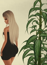 MzLKhloe