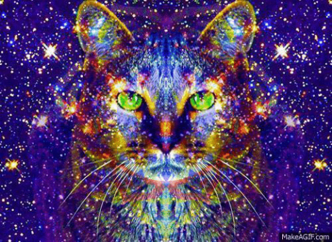 AmazingShadow67