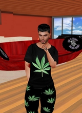 EmmettShadowWolf