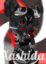Xashida
