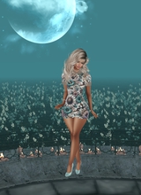 MissVeronica