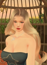 Guest_FHI