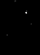 LY54