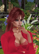 SkysFire