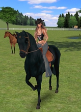 Avatar Bild