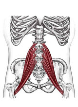 Canvas: Psoas