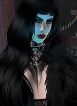 Ervine