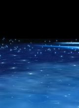 Guest_waakwa