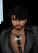 MaxiMaxwell