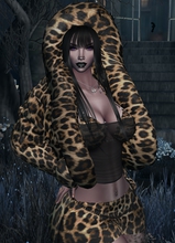 SashaRainDarkNightDW